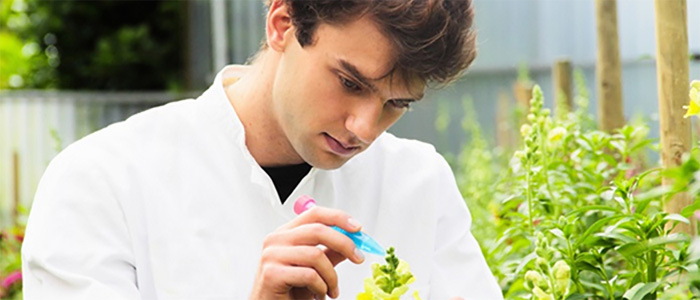 中药质量控制手艺平台